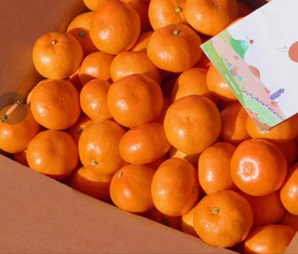Air Tengerine 49usd 11lb