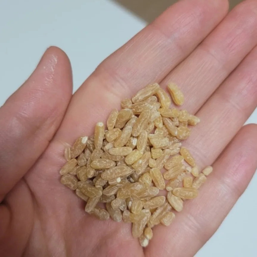 Kamute rice 2kg +2kg (8.8lb)