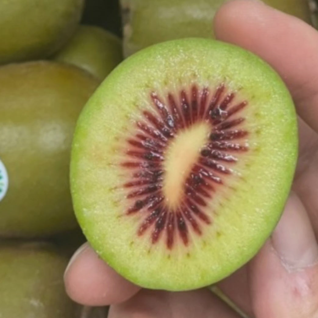Ruby Red Kiwi 2kg