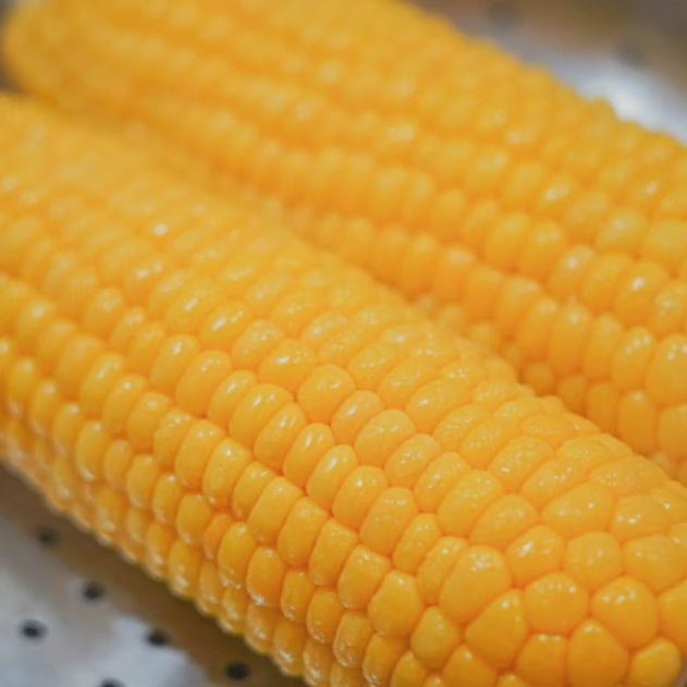 Fresh super sweet corn 8ea 33usd