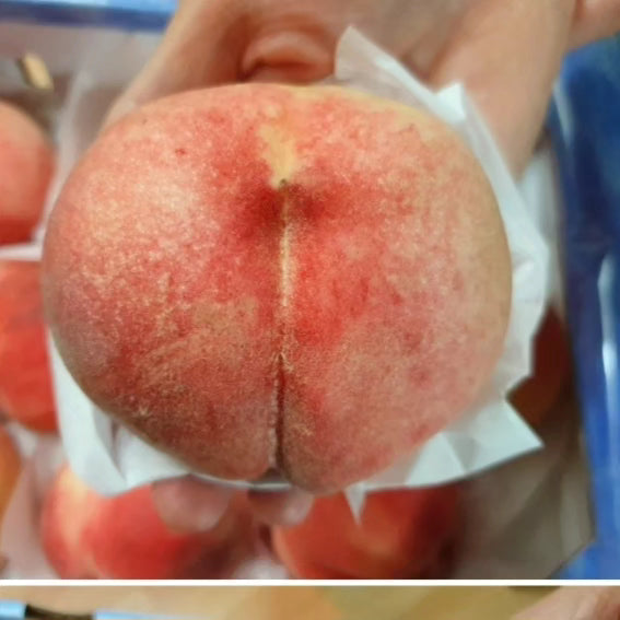 Hard peach