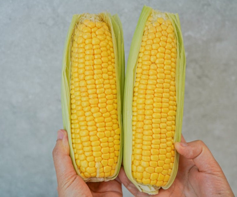 Fresh super sweet corn 8ea 33usd