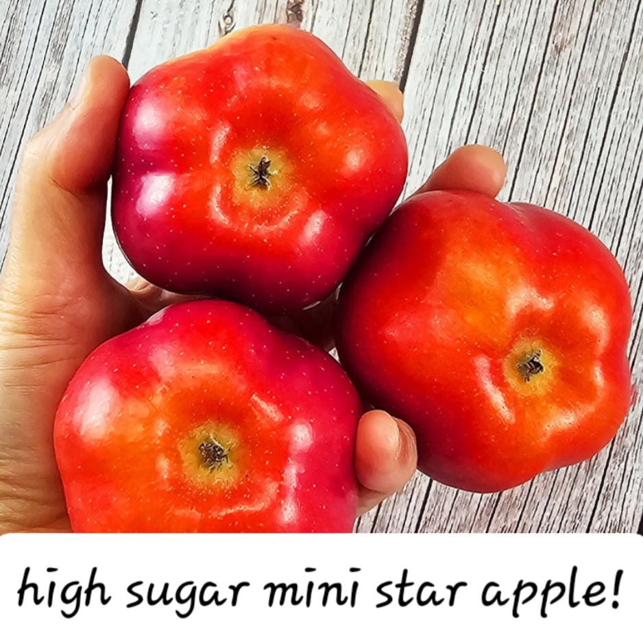 Star mini apple 2.2lb 25usd