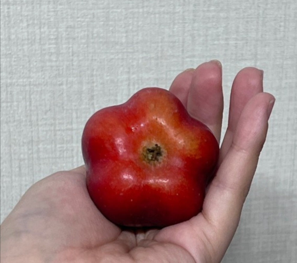 Star mini apple 2.2lb 25usd