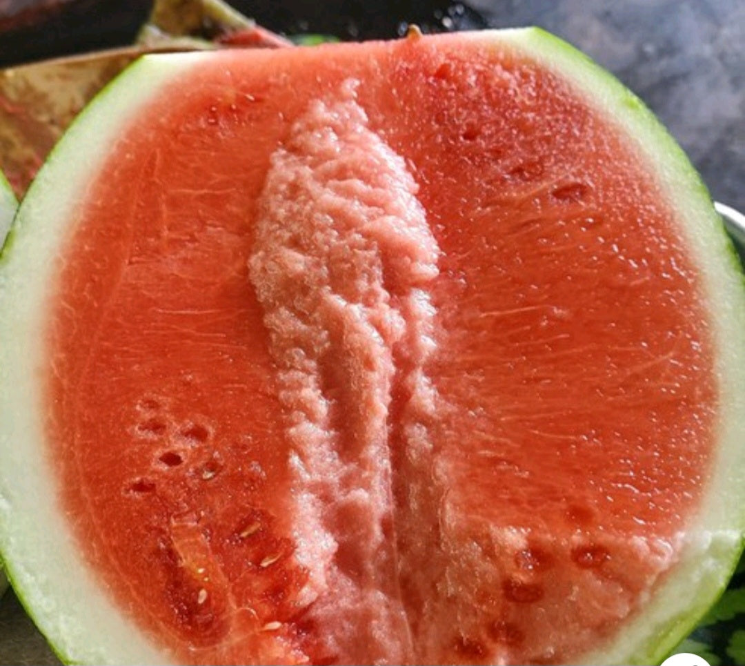 Event!!!! Korea Premium house watermelon 5kg