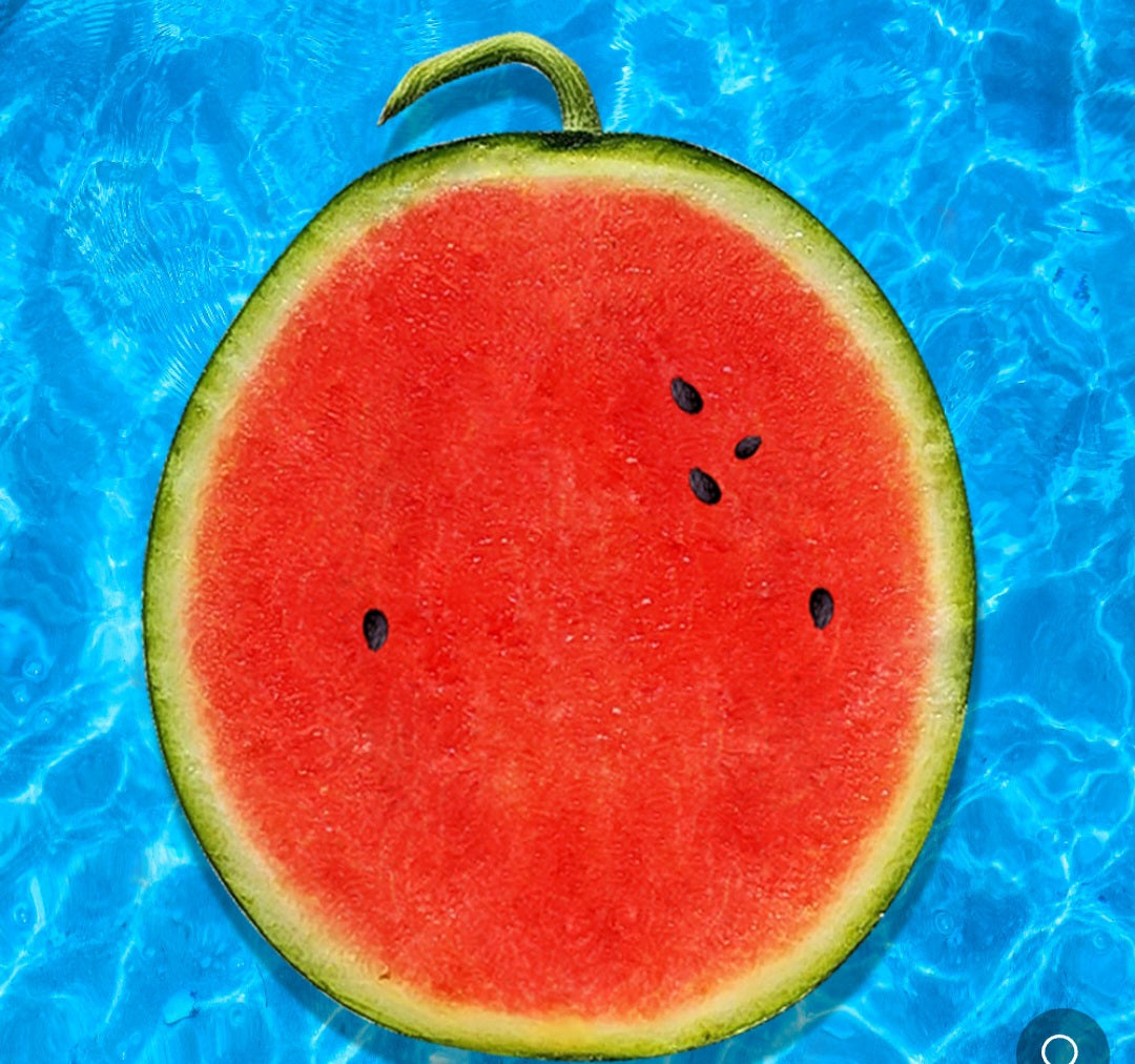Event!!!! Korea Premium house watermelon 5kg