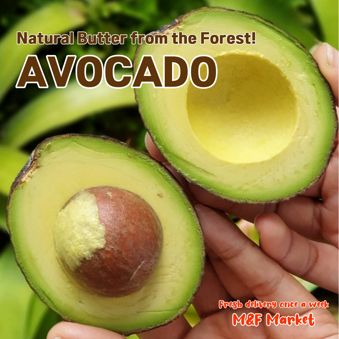 Avocado Fresh Fruit (6 pieces) 100% Natural, Original Hass .