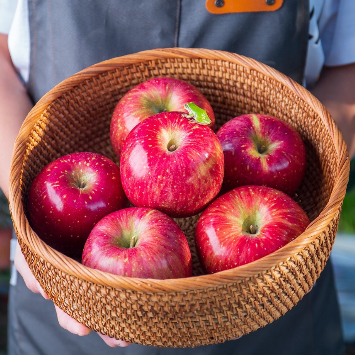 Honey red apples 5kg