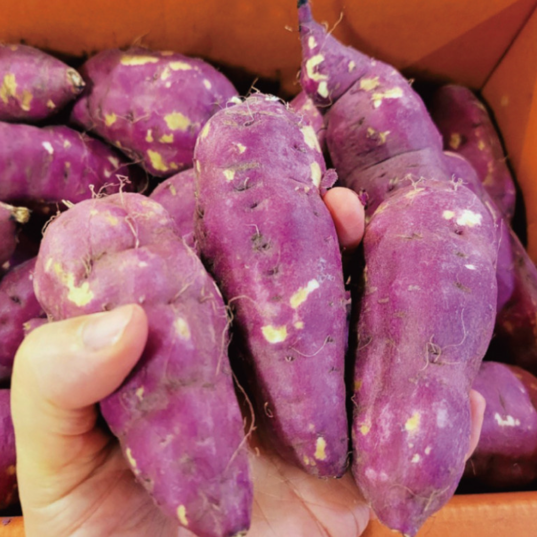 Chestnut flavoured sweet potatoes 5kg