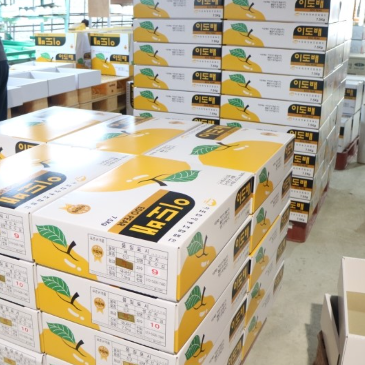 Edo premium pears 7.5kg