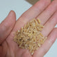 Kamute rice 2kg +2kg (8.8lb)