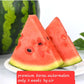 Premium korea watermelon 9lb