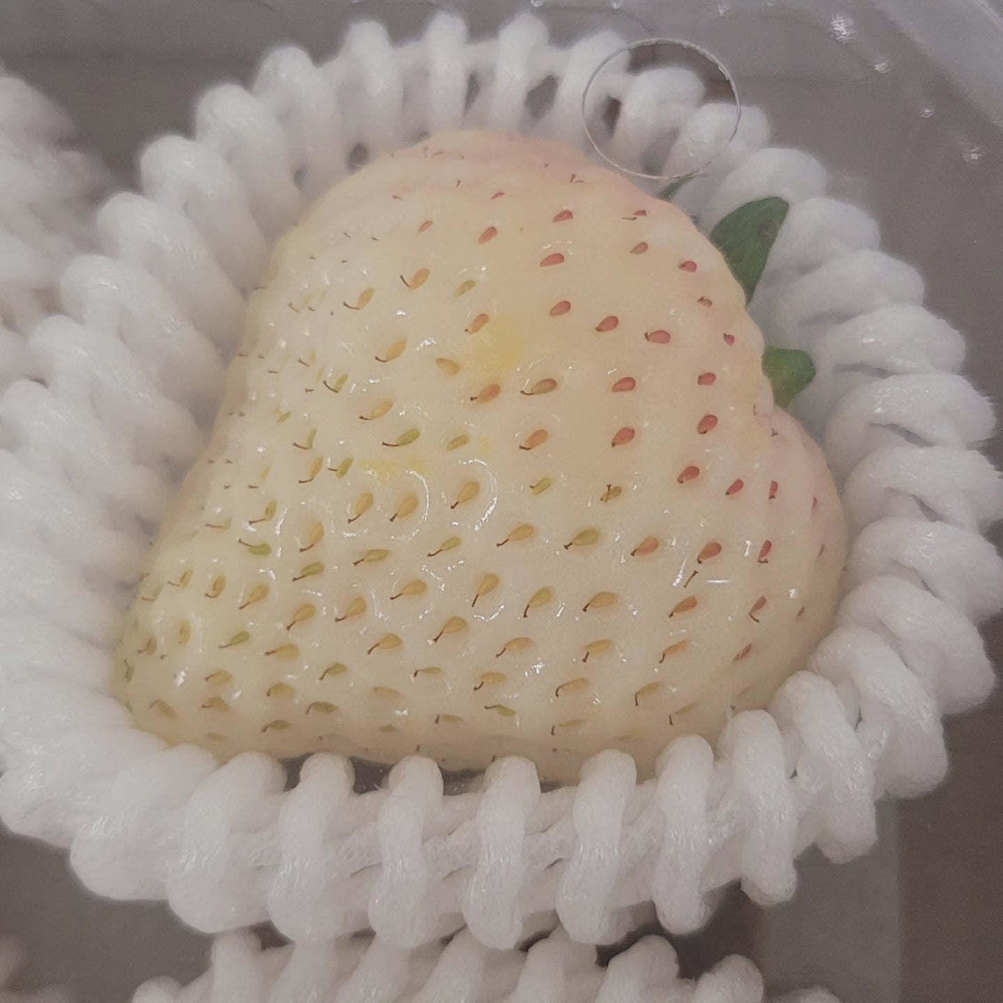 White Snow Strawberry