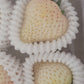 White Snow Strawberry