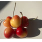 Fresh  Rainier cherry 907g  26usd