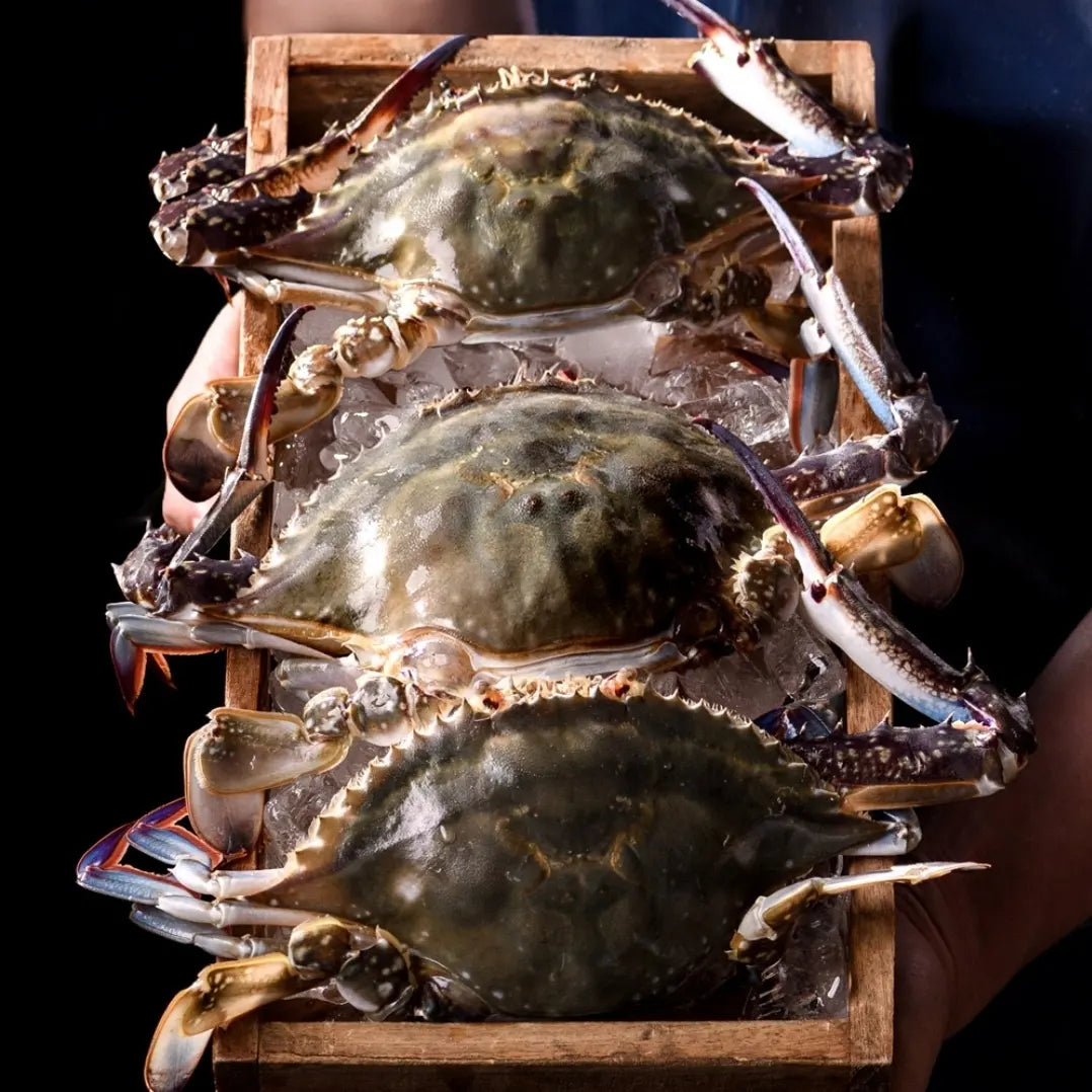 Fresh crab