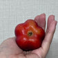 Star mini apple  2.2lb 25usd