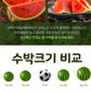 Event!!!! Korea Premium  house watermelon 5kg