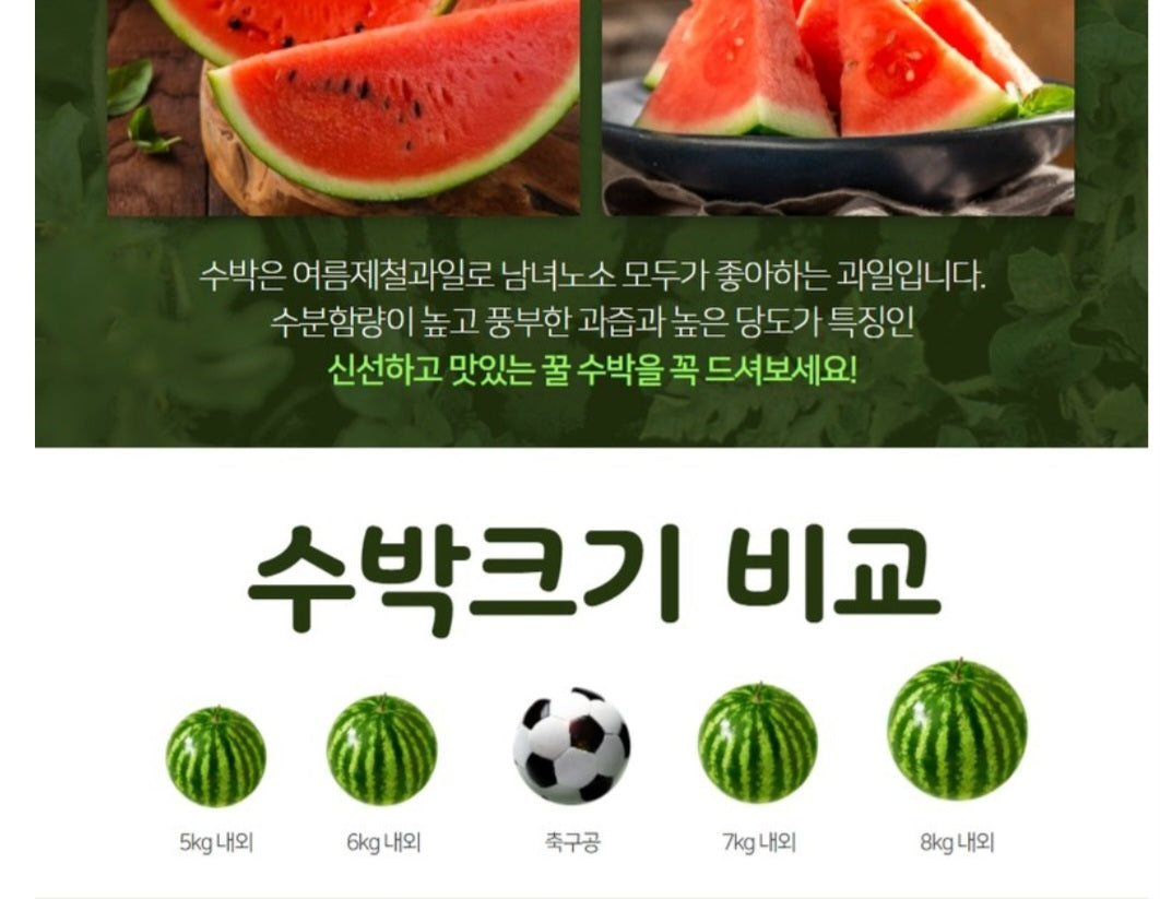 Event!!!! Korea Premium  house watermelon 5kg