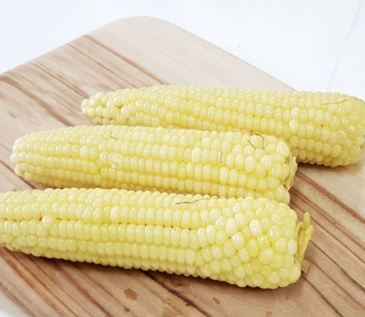 Kangwon corn