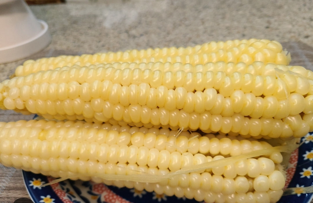 Kangwon corn