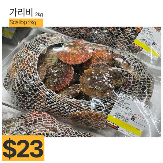 Scallop 2kg