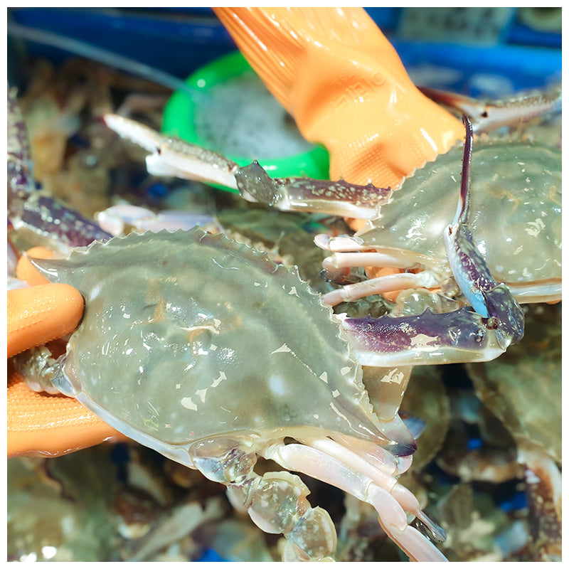 Fresh Korean Crab 1kg (3ea)