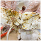 Fresh Korean Crab 1kg (3ea)