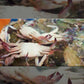 Fresh Korean Crab 1kg (3ea)