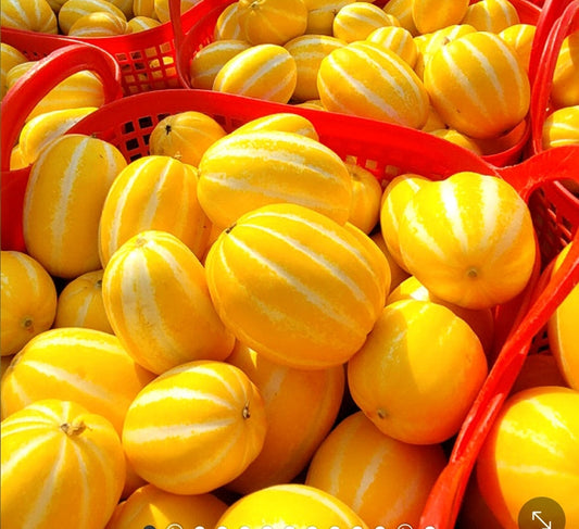 Korea Yellow Melon 11lb 59usd