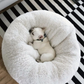 [Super soft plush] Dog & Cat Pet Cushion (3sizes)