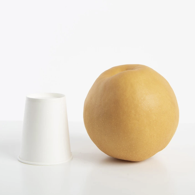 [COSTCO] Korean Pears 5kg (6~9ea)
