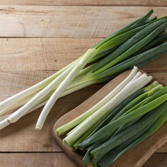 Korean green onion