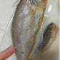 Trimmed corvina fish (20ea) 1.7kg