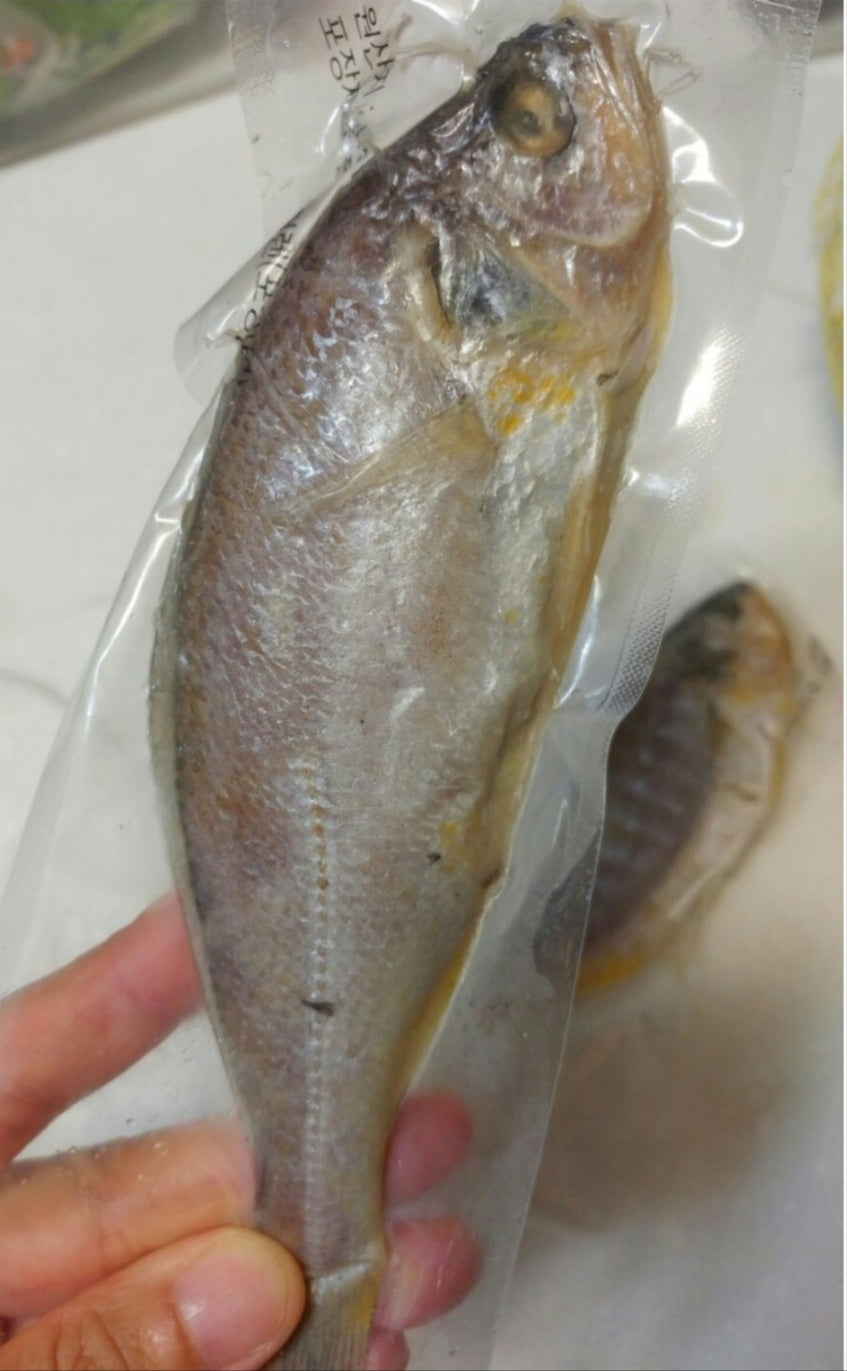Trimmed corvina fish (20ea) 1.7kg